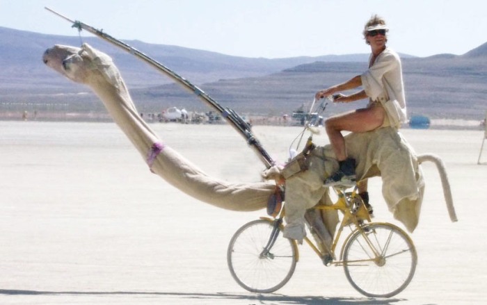 camel bike